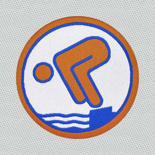 DSA Bronze Abzeichen DSA Bronze Abzeichen