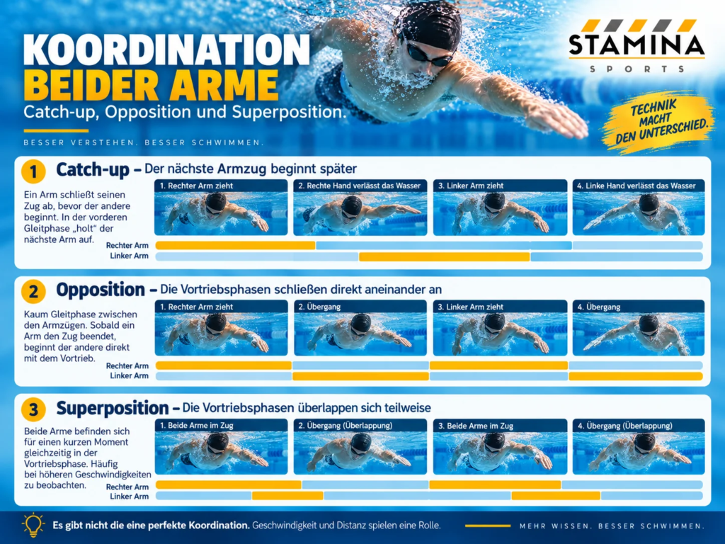 Armzyklus beim Kraulschwimmen: Wie beide Arme, Quadranten und Rotation zusammenarbeiten Armkoordination beim Kraulschwimmen mit Catch up, Opposition und Superposition der beiden Vortriebsphasen