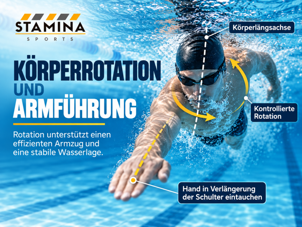 Der Kraul Armzug: Technik, Armzyklus und Koordination richtig erklärt Körperrotation um die Längsachse und Armführung in Verlängerung der Schulter beim Kraulschwimmen