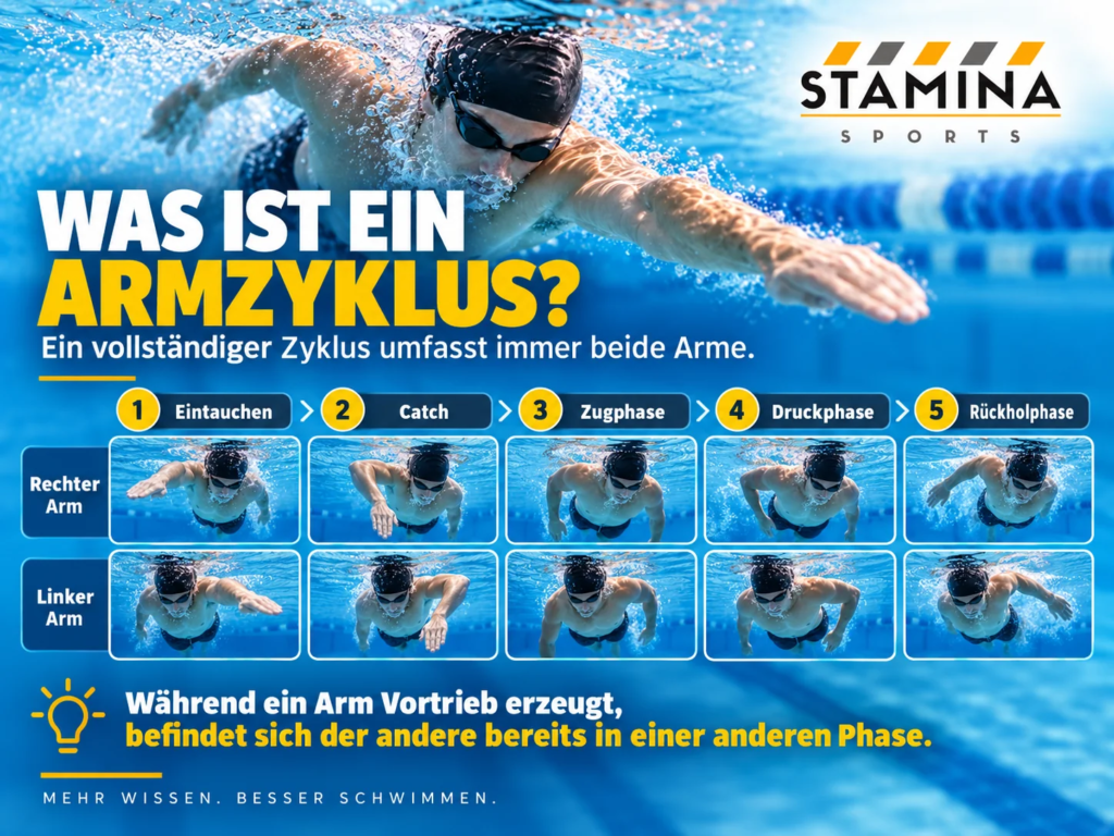Armzyklus beim Kraulschwimmen: Wie beide Arme, Quadranten und Rotation zusammenarbeiten Armzyklus beim Kraulschwimmen mit den gleichzeitig unterschiedlichen Phasen des rechten und linken Arms