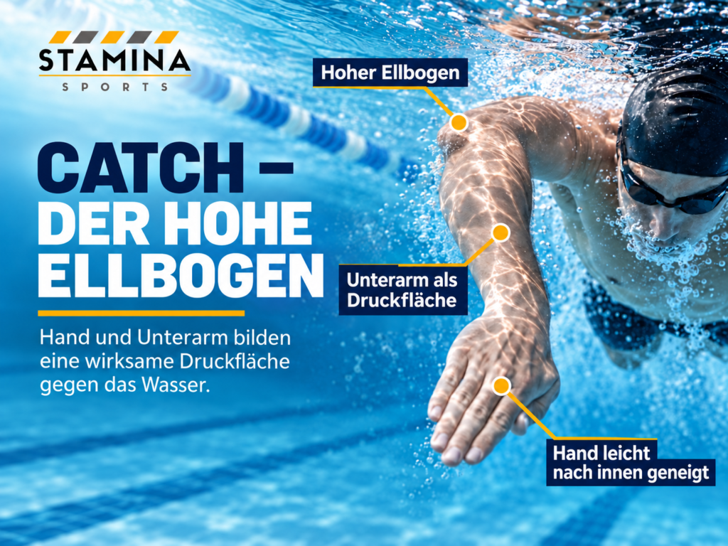 Der Kraul Armzug: Technik, Armzyklus und Koordination richtig erklärt Catch beim Kraulschwimmen mit hohem Ellbogen und Unterarm als wirksame Druckfläche