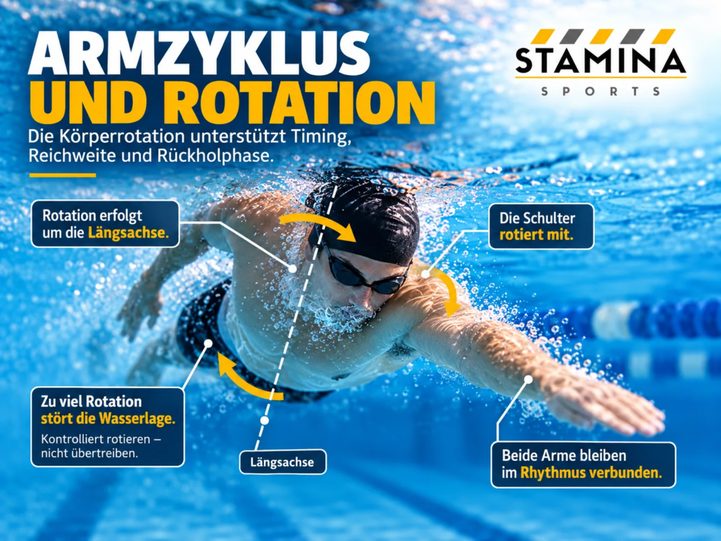 Armzyklus beim Kraulschwimmen: Wie beide Arme, Quadranten und Rotation zusammenarbeiten Die Arme arbeiten nicht unabhängig vom restlichen Körper.Beim Kraulen rotiert der Körper kontrolliert um seine Längsachse.Diese Rotation verbindet den rechten und linken Arm miteinander.