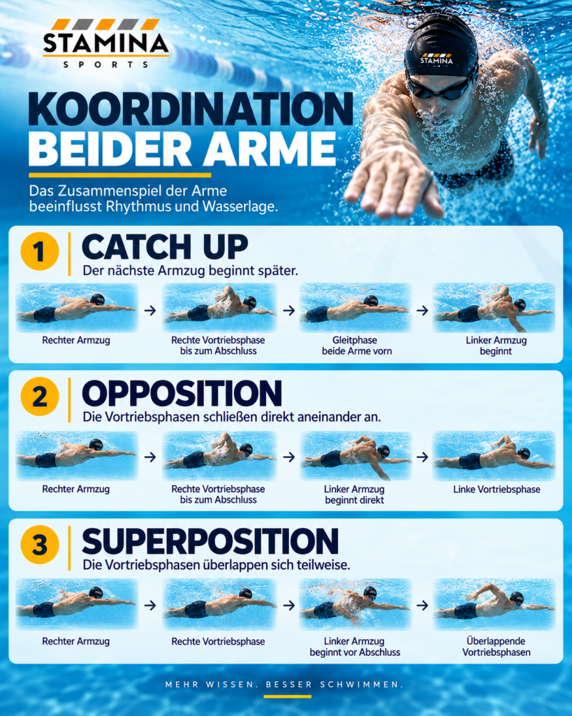 Der Kraul Armzug: Technik, Armzyklus und Koordination richtig erklärt Koordination beider Arme beim Kraulschwimmen mit Catch Up, Opposition und Superposition